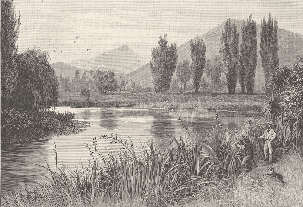 TRIBAL. Maori Wars. Wairau Massacre 1890 old antique vintage print picture