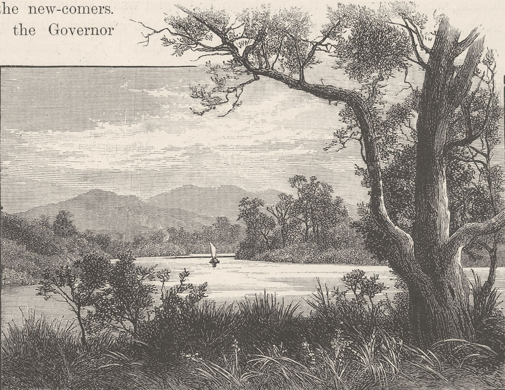 AUSTRALIA. Tasmania. Bit of George River 1890 old antique print picture