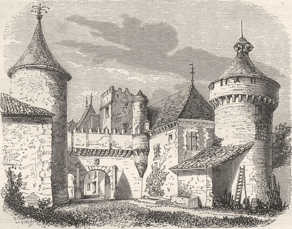 CHARENTE. Chateau de L'Oisellerie 1881 old antique vintage print picture