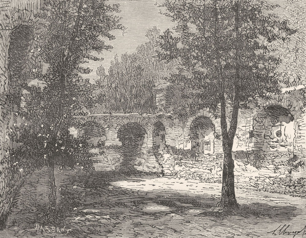 ALGERIA. Generale. Ruines d'Hypone 1884 old antique vintage print picture