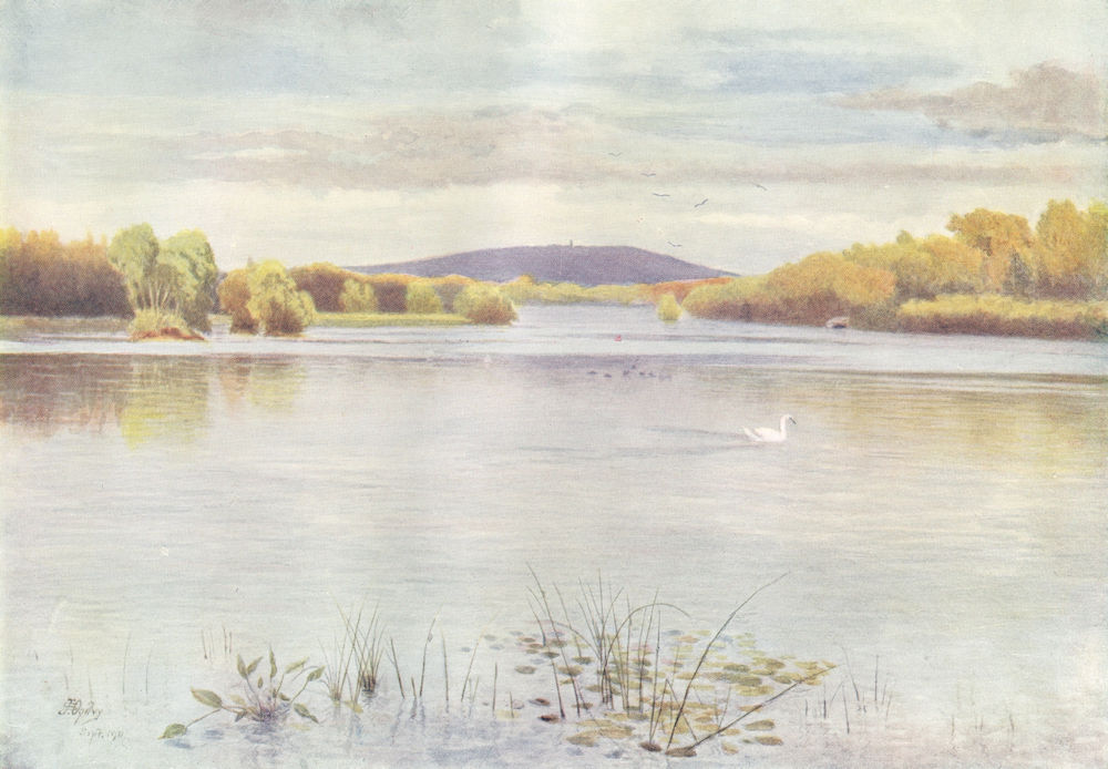 EWHURST. Vachery Pond. Surrey 1914 old antique vintage print picture