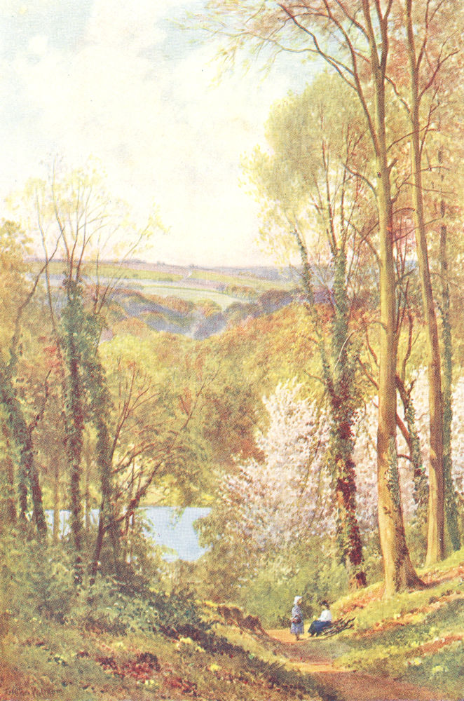 Quarry Woods, near Marlow, Buckinghamshire by Sutton Palmer 1920 old print