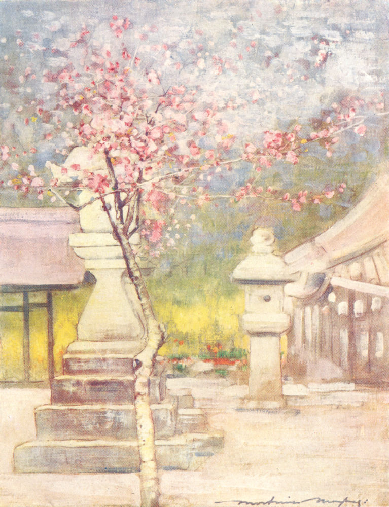 JAPAN. Peach-Blossom 1904 old antique vintage print picture