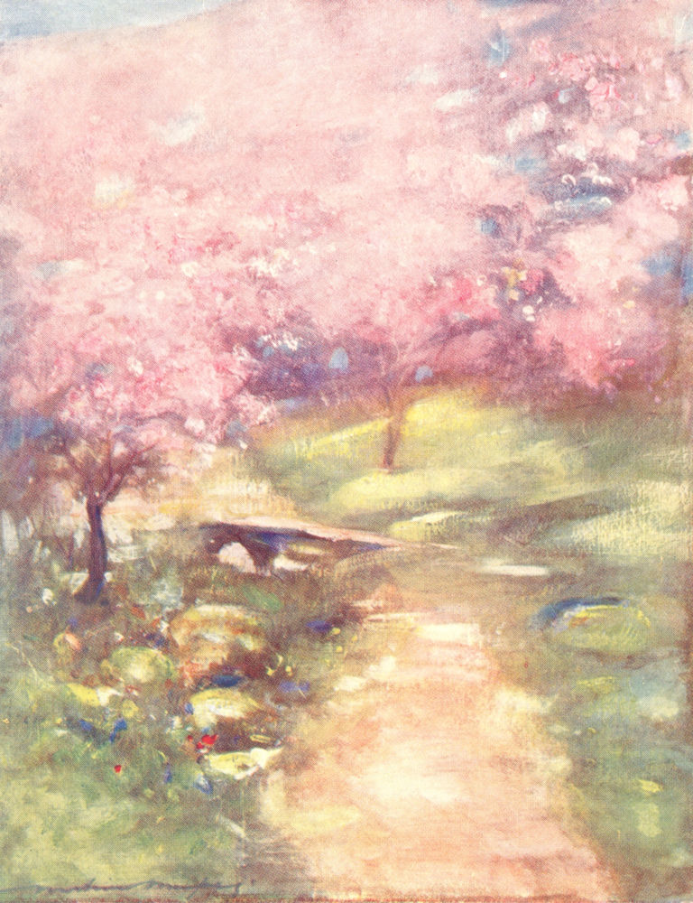 JAPAN. Blossom of Glen 1904 old antique vintage print picture