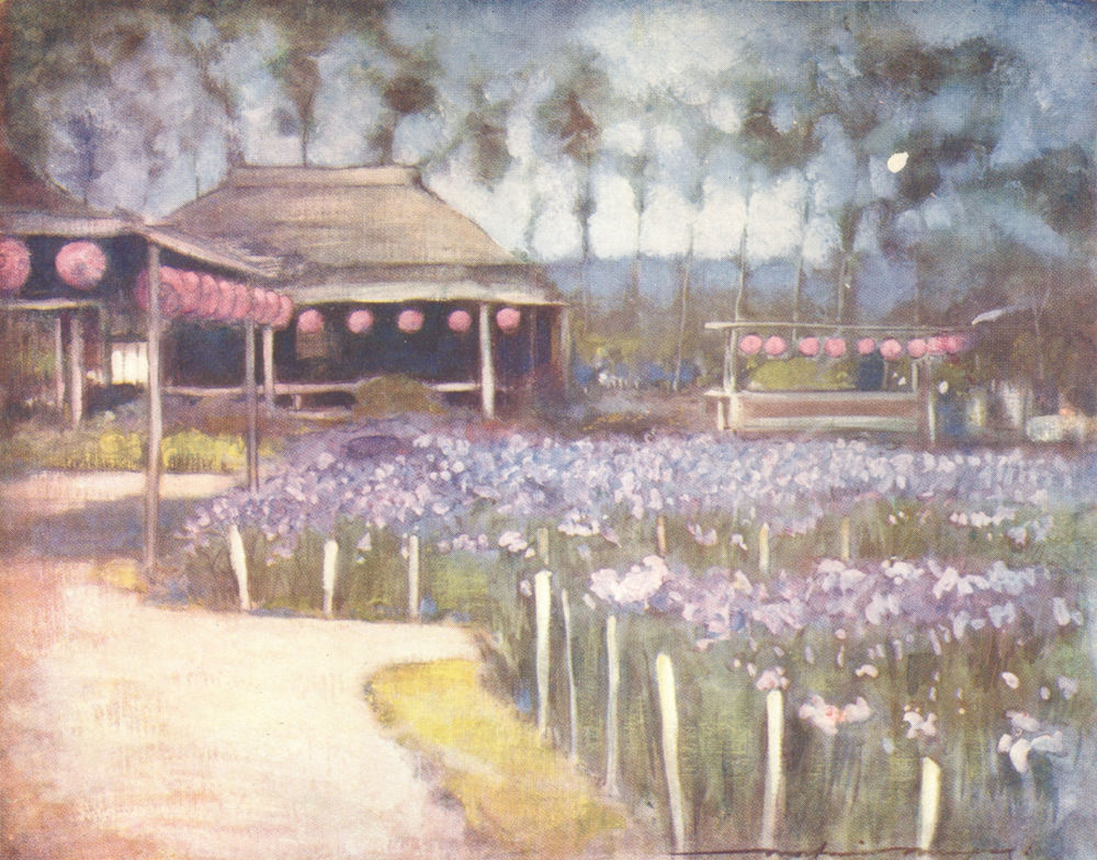 JAPAN. Gdns. Iris garden 1904 old antique vintage print picture