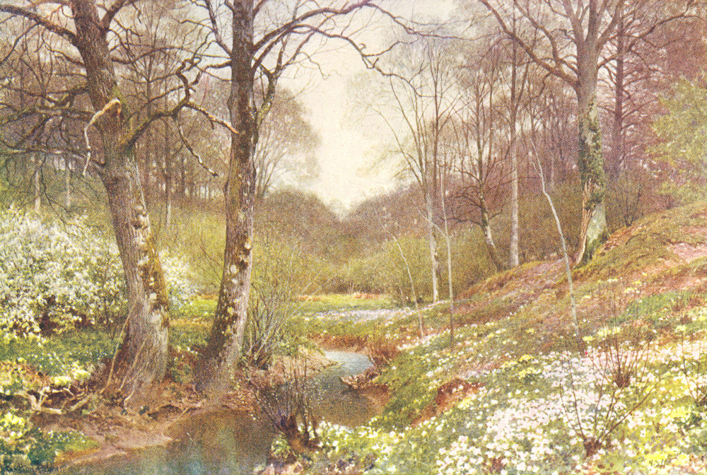 SURREY. Spring blossoms, Dorking 1912 old antique vintage print picture