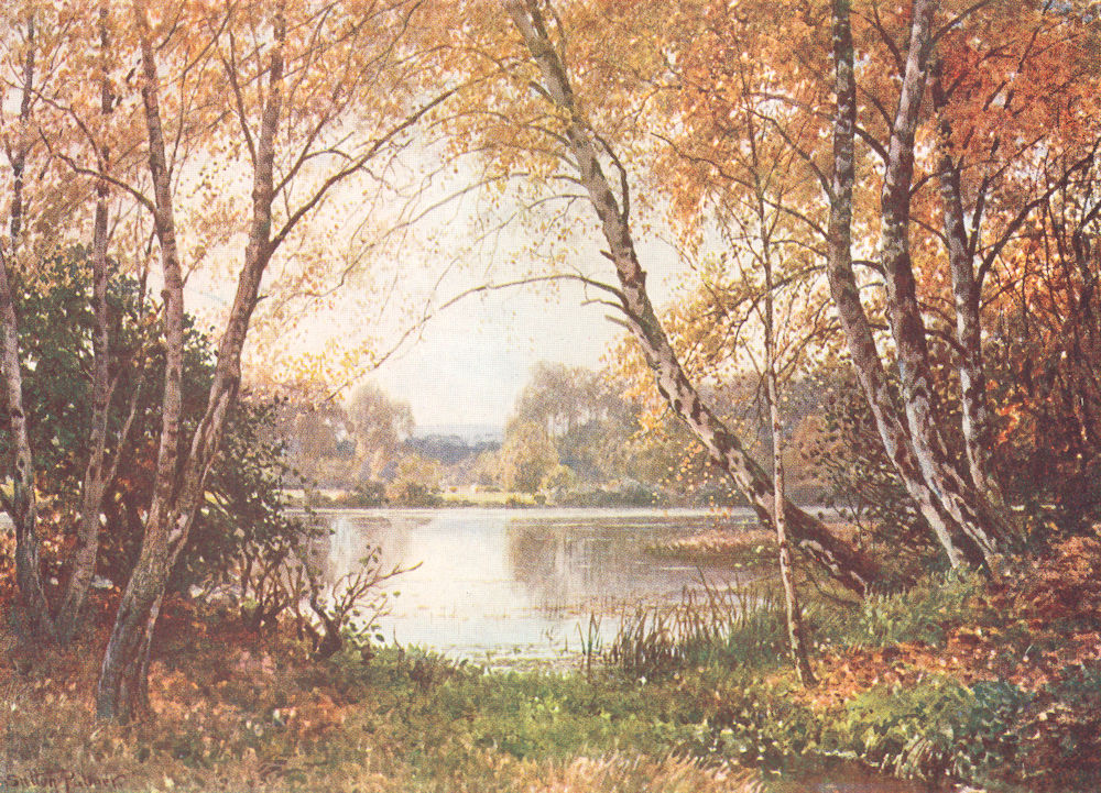 SURREY. Verge of pond, Royal Common 1912 old antique vintage print picture