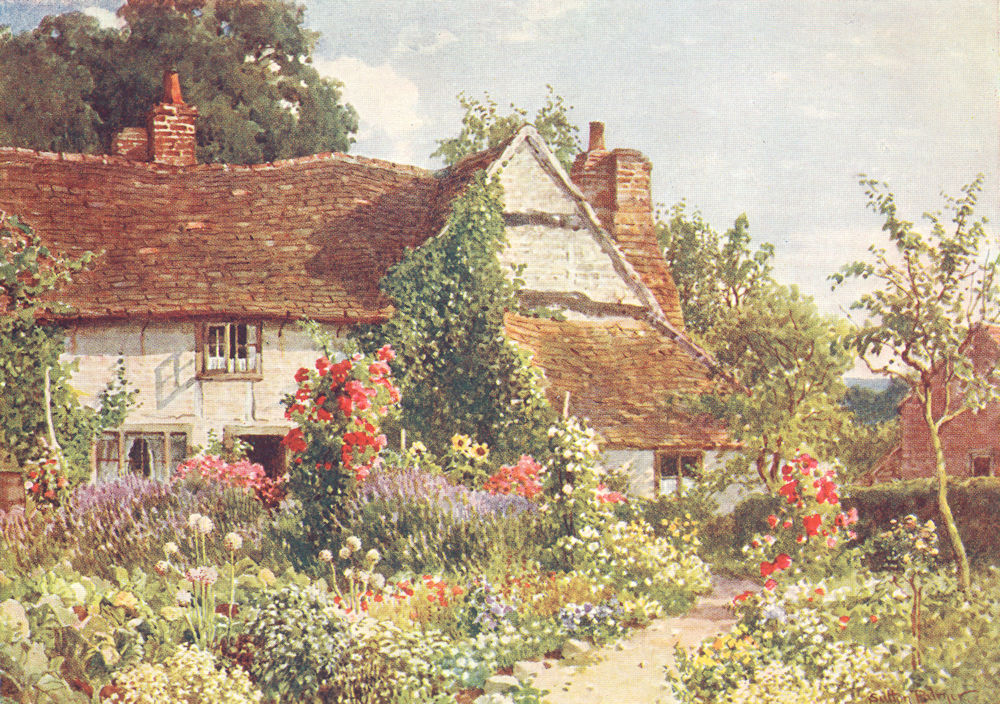 SURREY. A Cottage Bisley 1912 old antique vintage print picture