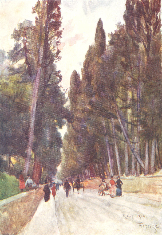 TUSCANY TOSCANA. Cypress Avenue of Poggio Imperiale; road to Arcetri 1905