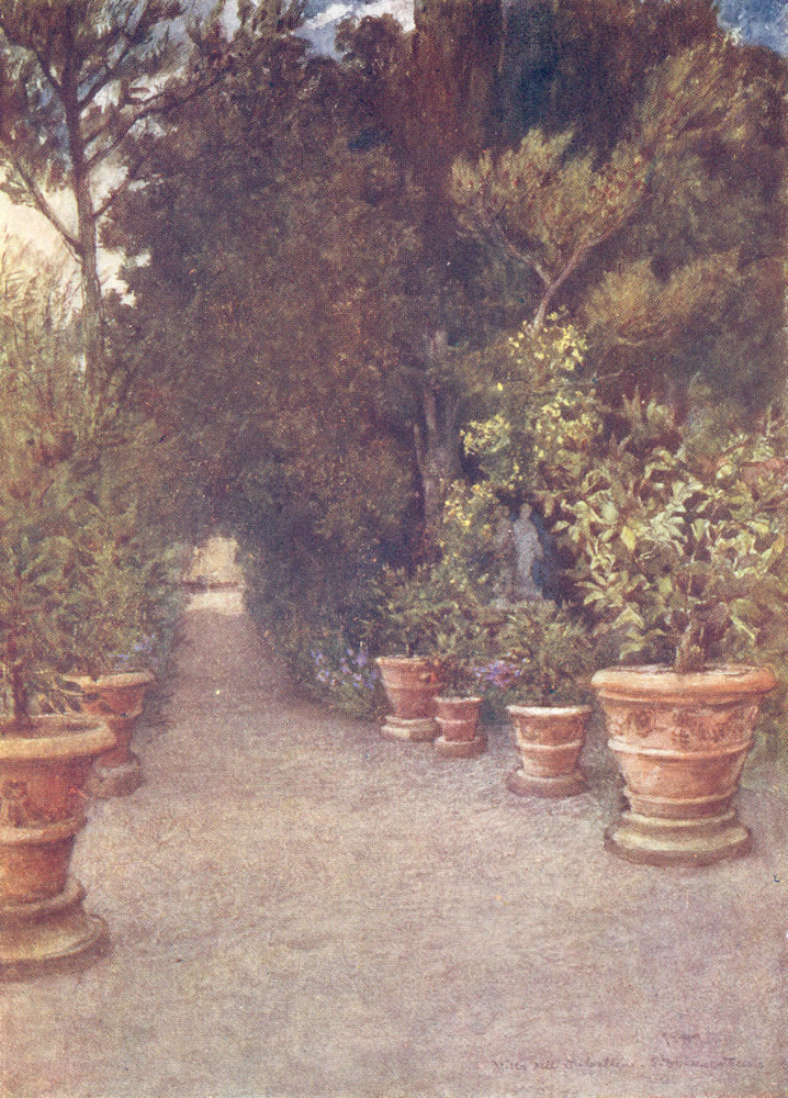 Associate Product TUSCANY. The Ilex walk, Villa Dell' Ombrellino San Domenico, in April 1905