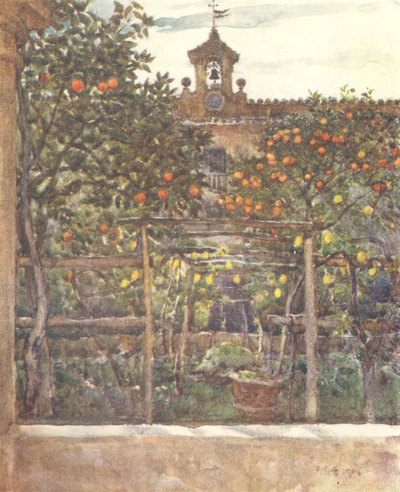 Associate Product TUSCANY TOSCANA. Orange & Lemon treeS in an old Convent garden 1905 print