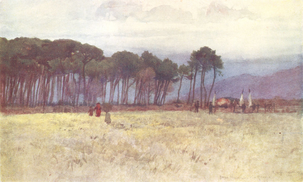 Associate Product VIAREGGIO. The Pine Woods & Carrara Mountains. Italy 1905 old antique print