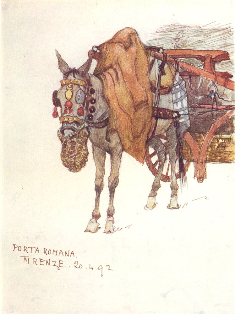 Associate Product TUSCANY TOSCANA. Mule, Decorated Harness & Rope Nose-Bag 1905 old print