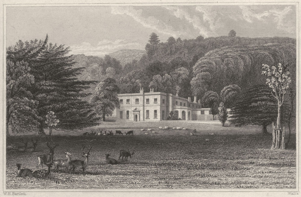 DEVON. Kellerton Park (The seat of Sir TD Agland) 1829 old antique print