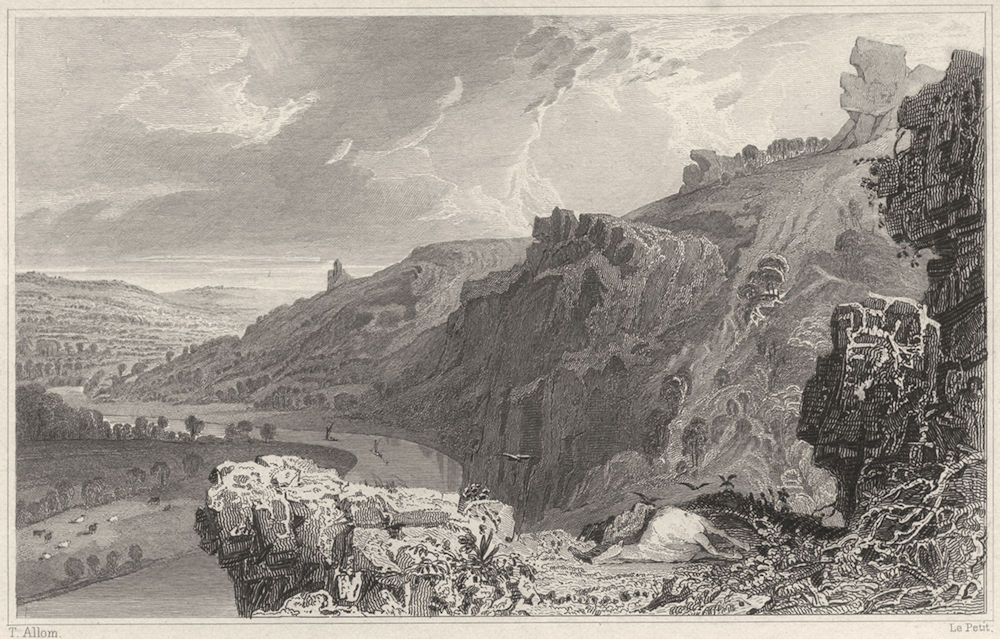 DEVON. The Morwell Rocks, on the River Tamar, Devon & Cornwall 1829 old print
