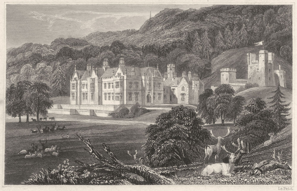 DEVON. Mamhead Hall, near Dawlish (The seat of RW Newman Esq) 1829 old print