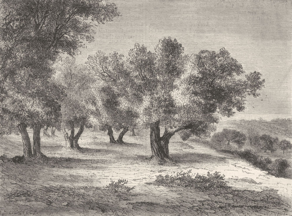 ISRAEL. Jerusalem. field of blood, Valley Hinnom 1870 old antique print