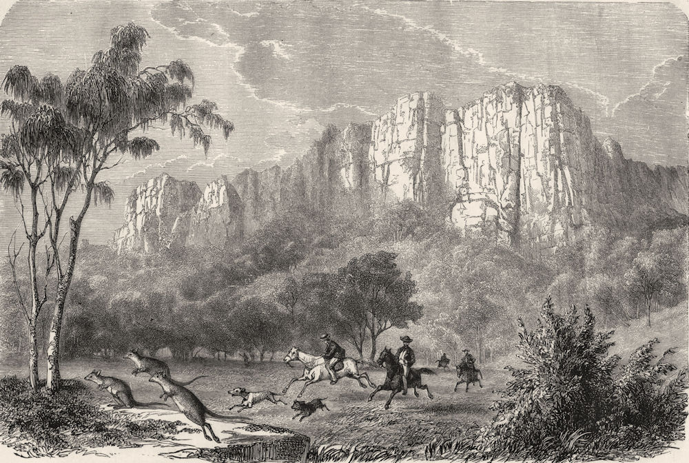 AUSTRALIA. Hunting Kangaroos 1870 old antique vintage print picture