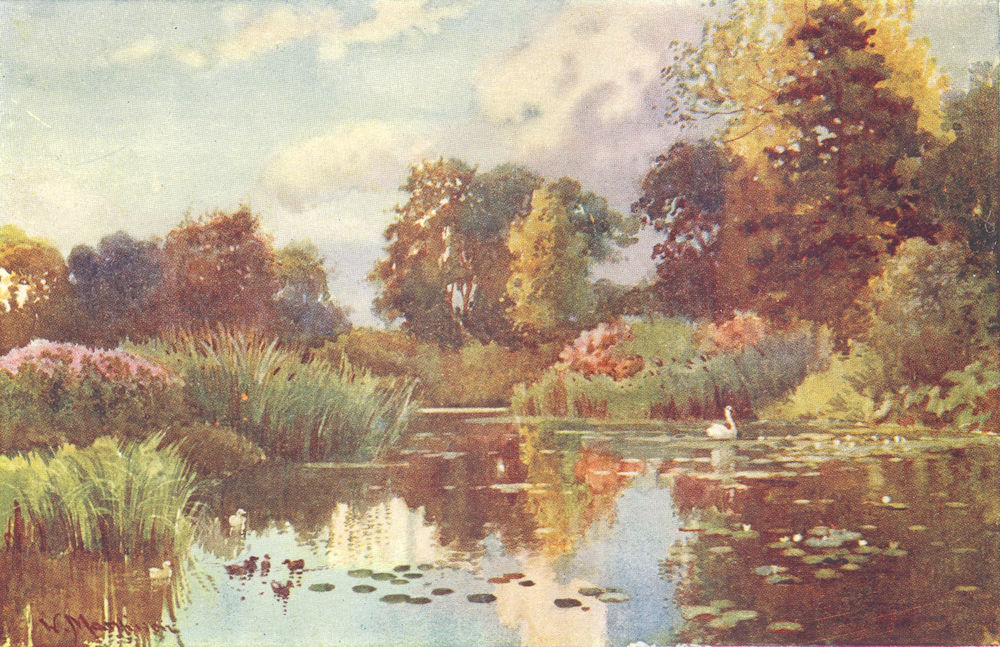 Associate Product CAMBRIDGE. Lake in Botanic Gdns 1907 old antique vintage print picture