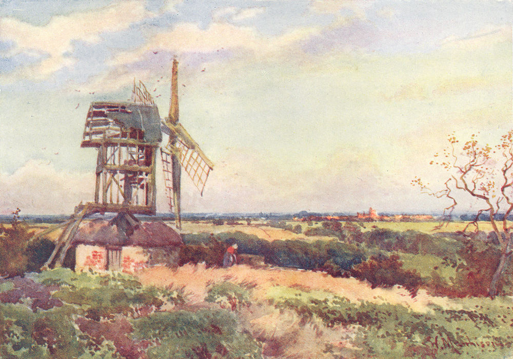 CAMBRIDGE. Madingley Windmill 1907 old antique vintage print picture