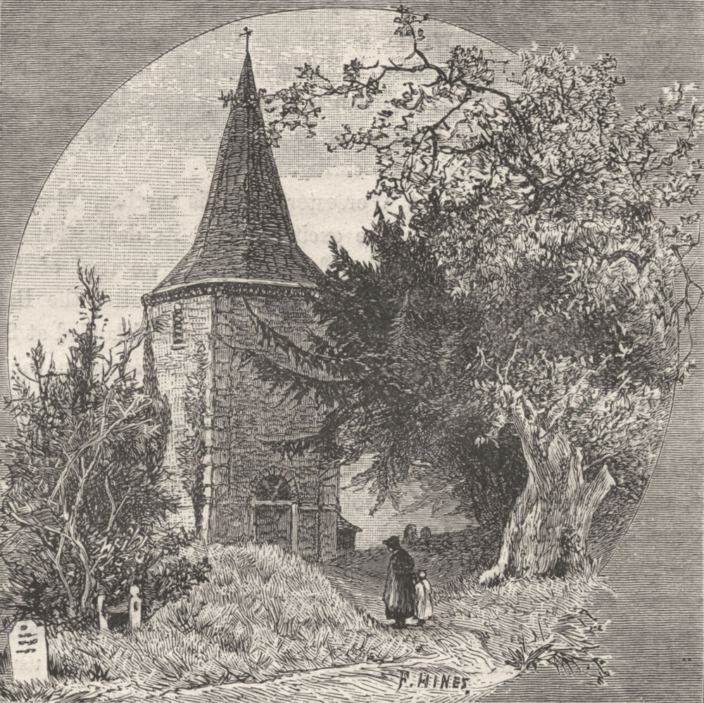 FOREST. Brockenhurst Church, famous Yew Oak 1898 old antique print picture