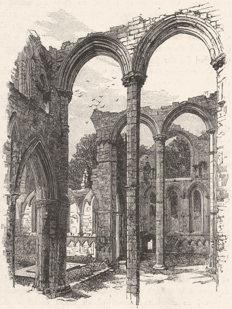 YORKS. Transept, Fountains Abbey 1898 old antique vintage print picture