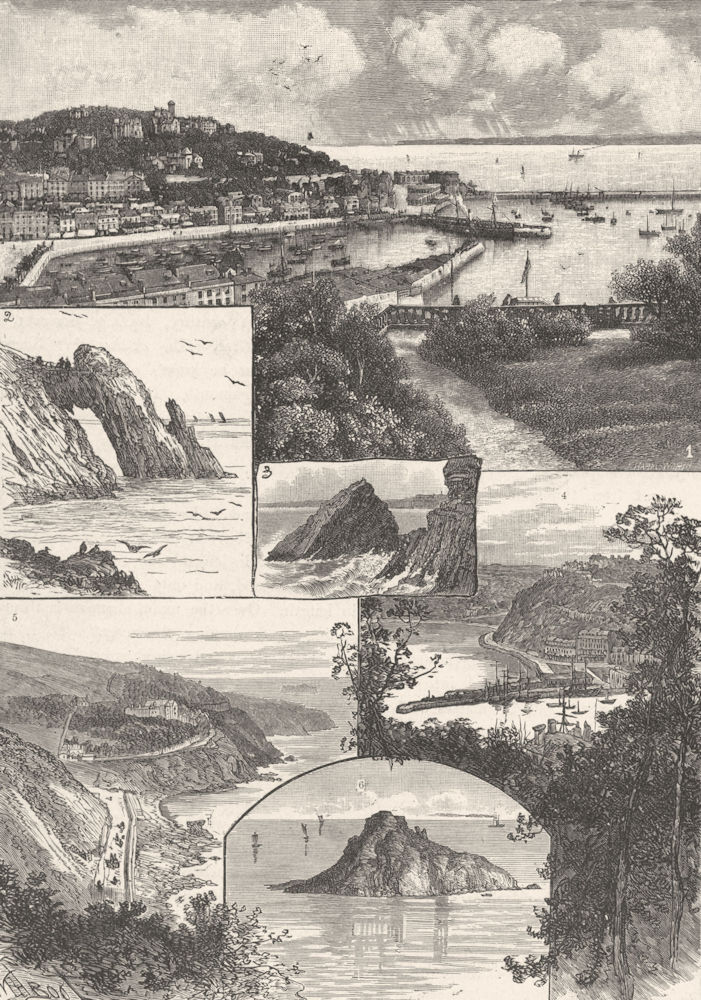 TORQUAY. Waldon; Saddle Rock; Vane; Meadfoot; Thatcher 1898 old antique print
