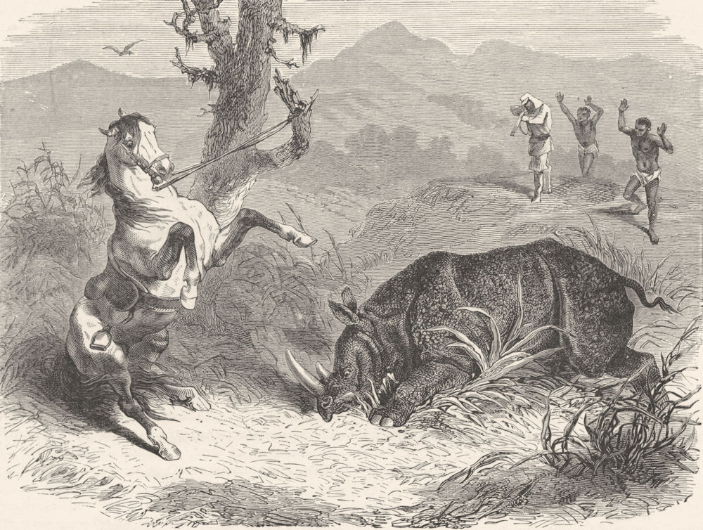 S AFRICA. Trekking hunt. favourite danger 1880 old antique print picture