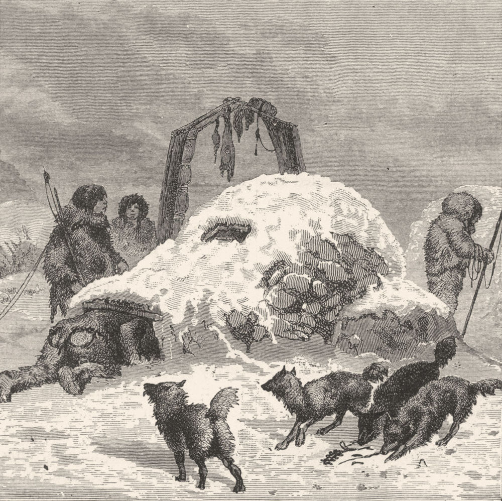 POLAR REGIONS. Dogs Eskimos igloo 1880 old antique vintage print picture