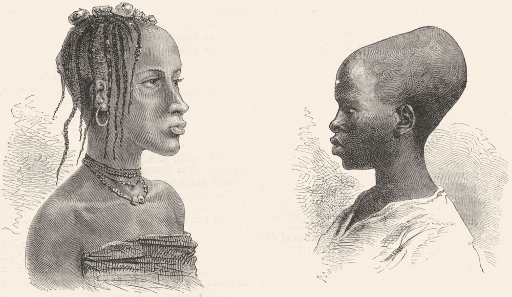 SENEGAL. Senegambia. Native Types  1880 old antique vintage print picture