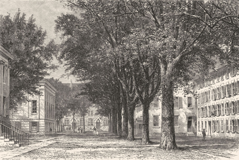 CONNECTICUT. New England. The Elms Yale University 1891 old antique print