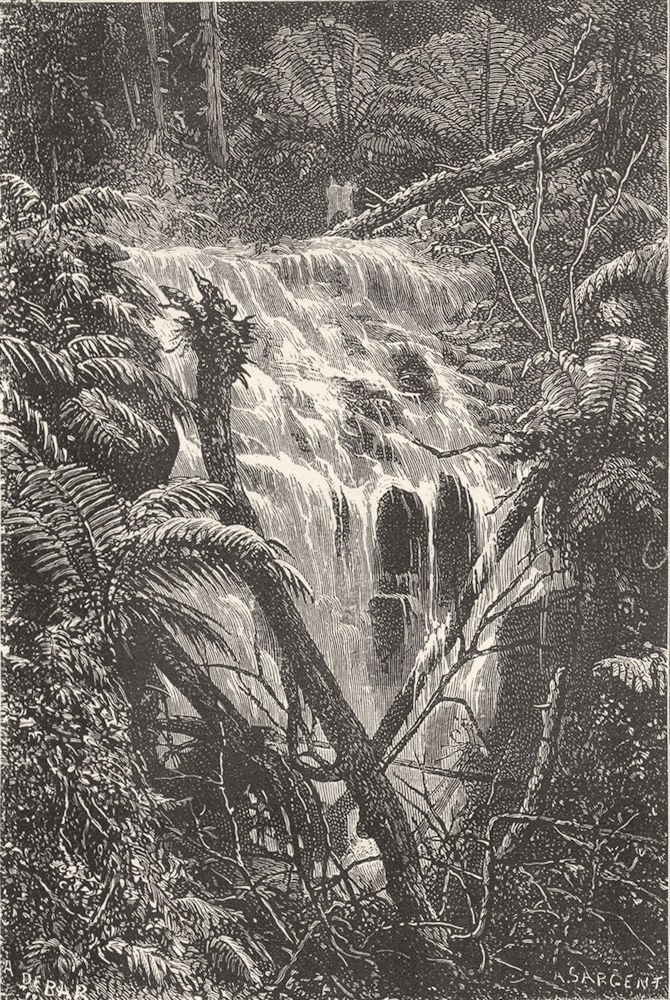 AUSTRALIA. Waterfall in the Black Spur 1886 old antique vintage print picture