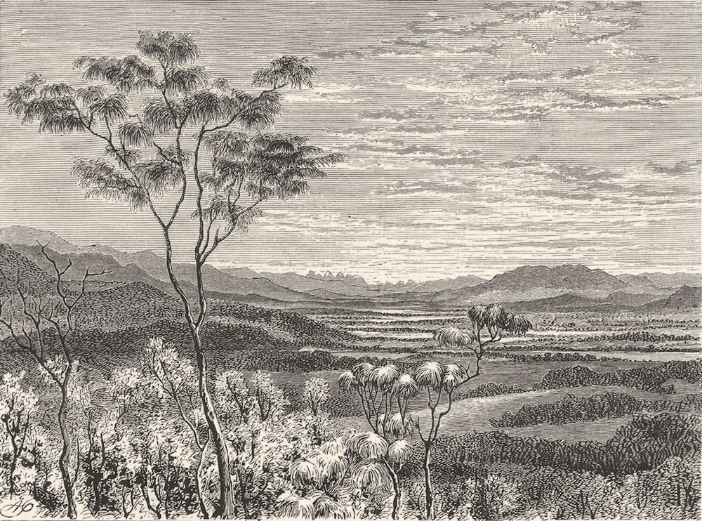 AUSTRALIA. Queensland. Valley of river Brisbane 1886 old antique print picture