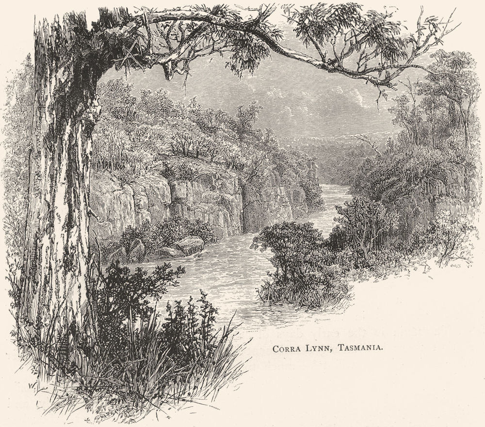 Associate Product TASMANIA. Tasmania. Corra Kings Lynn, Tasmania 1886 old antique print picture