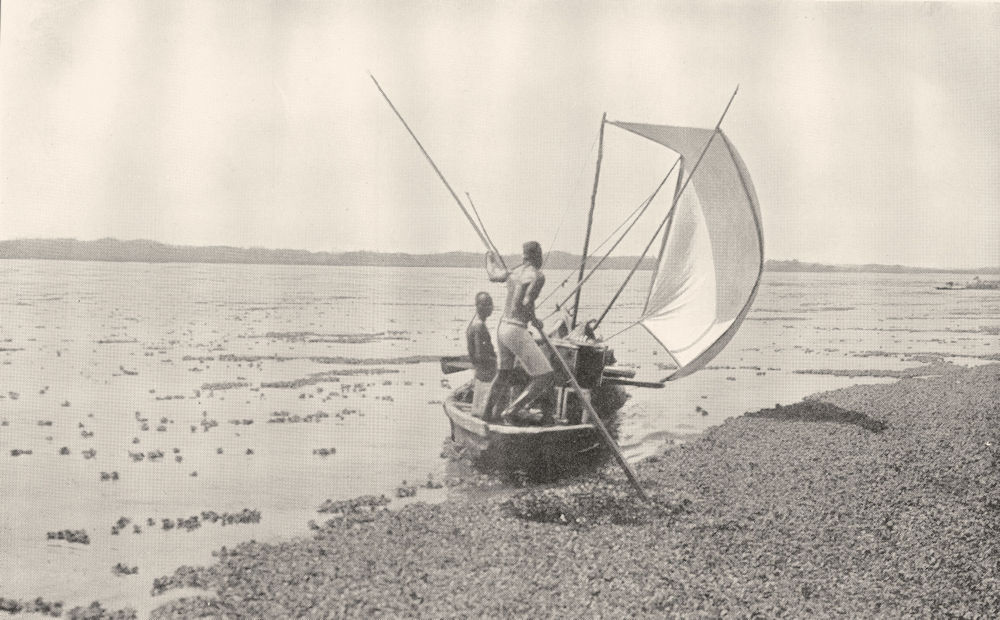NIGERIA. A native Canoe, Badagri Creek 1936 old vintage print picture