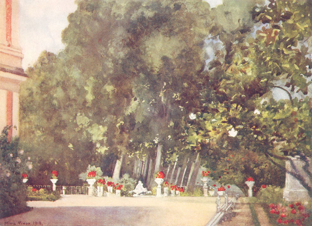 SPAIN. The Magnolia tree, Aranjuez 1916 old antique vintage print picture