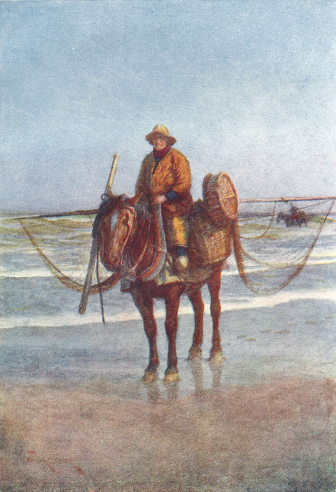 Associate Product BELGIUM. A shrimper on Horseback, Koksijde Coxyde 1908 old antique print