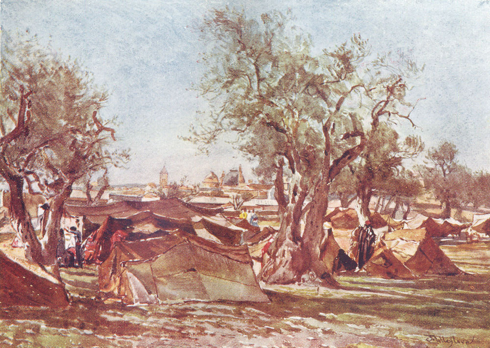 JERUSALEM. Bedouin Camp, North wall of 1902 old antique vintage print picture