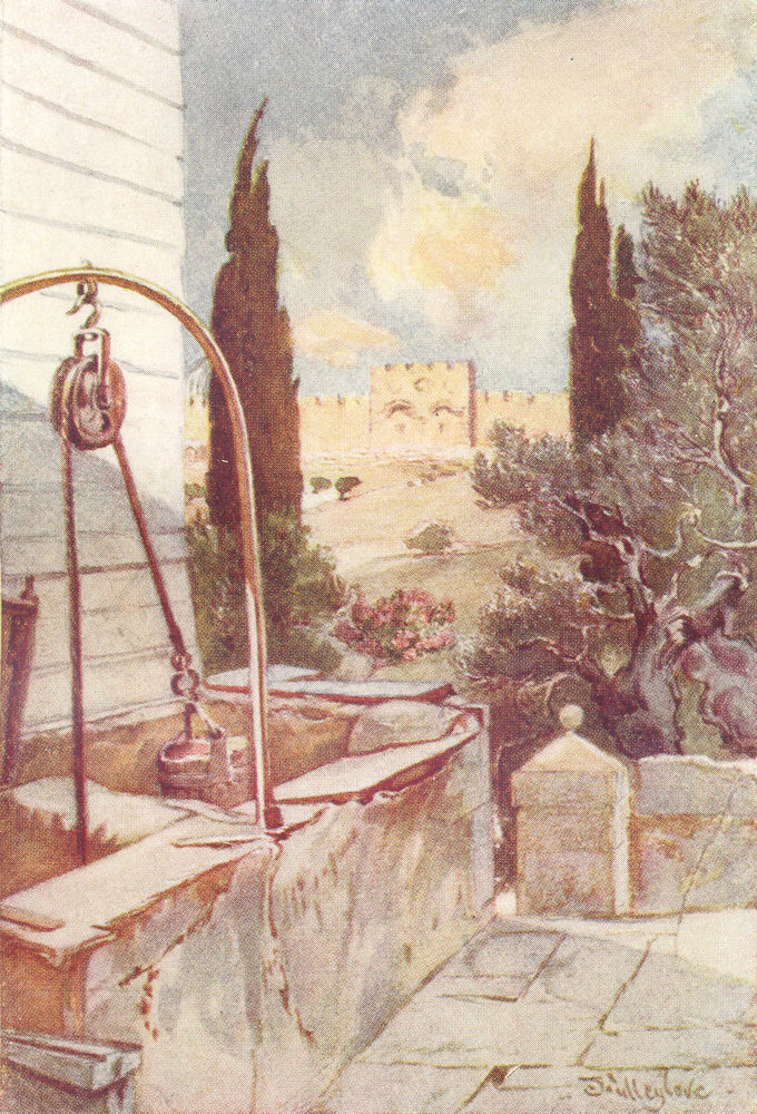 Associate Product JERUSALEM. Golden Beautiful Gate garden of Gethsemane 1902 antique print