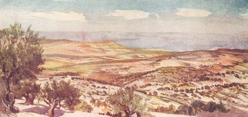 ISRAEL. The fields of Ruth and Boaz near Bethlehem 1902 old antique print