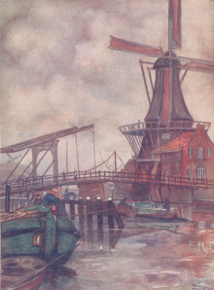 Associate Product NETHERLANDS. North Holland. Mill de Adrian, Haarlem 1904 old antique print