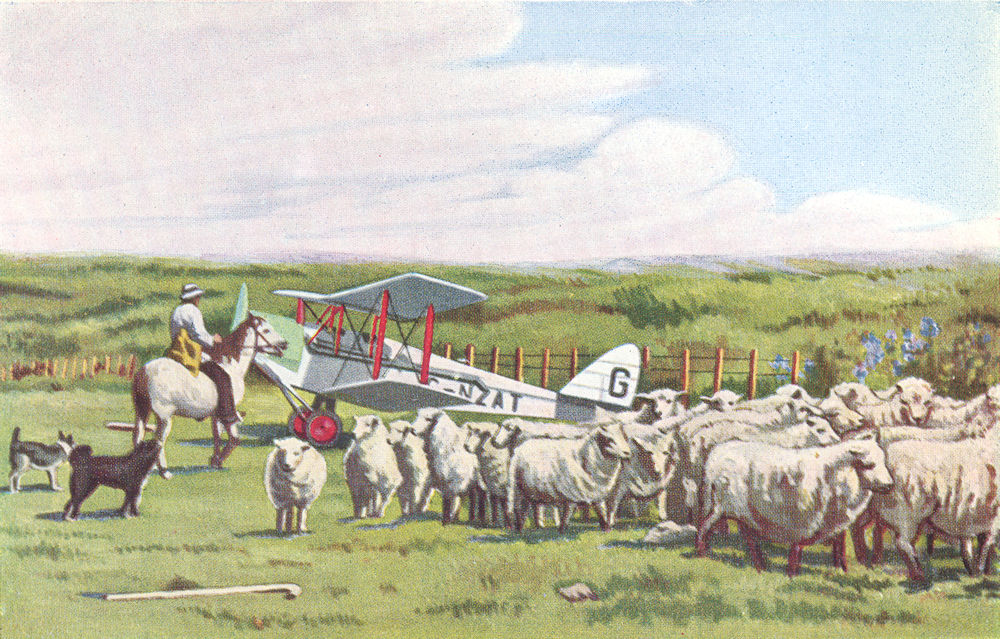 NEW ZEALAND. A light aeroplane used, a sheep farm 1930 old vintage print