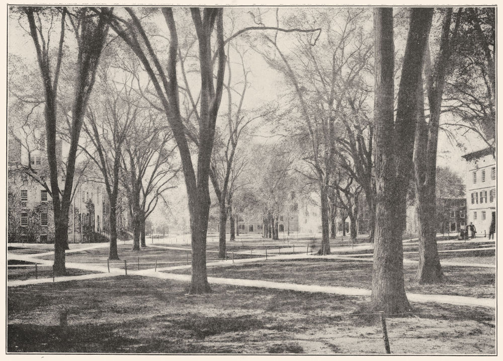MASSACHUSETTS. Yd, Harvard University; Showing, Gray's, Matthew's & Halls 1907
