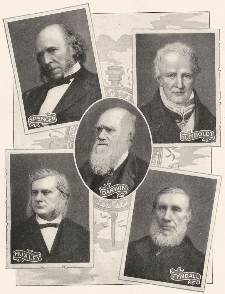 Associate Product GERMANY. Spencer; Humboldt; Darwin; Huxley; Tyndall 1907 antique print