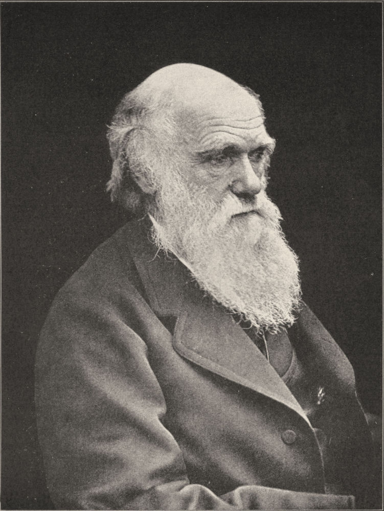 SCIENCE. Charles Darwin 1907 old antique vintage print picture