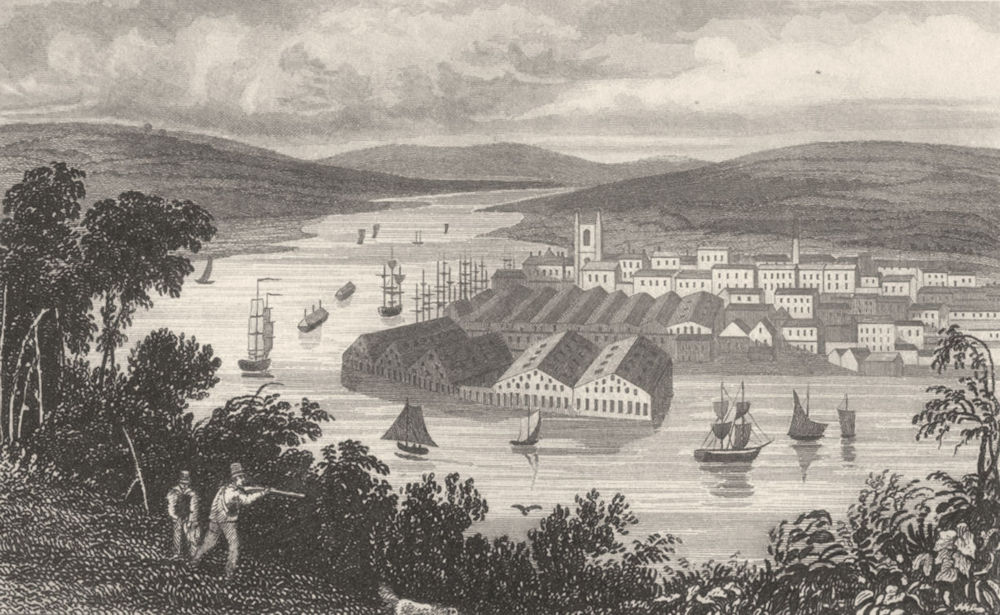 Associate Product DEVON. Devonport, from Mount Edgcombe. DUGDALE 1845 old antique print picture