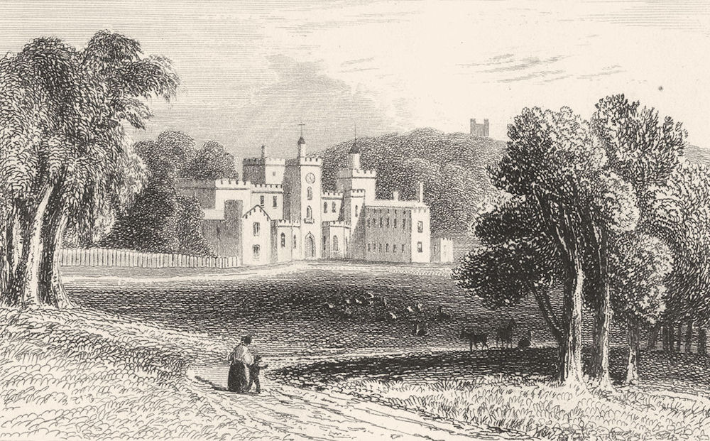 Associate Product DEVON. Powderham Castle, Devon. DUGDALE 1845 old antique vintage print picture
