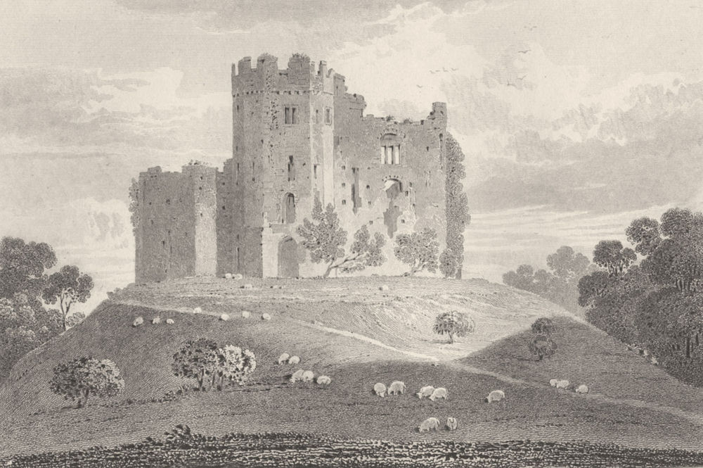 Associate Product WALES. Cardiff Castle . DUGDALE 1845 old antique vintage print picture