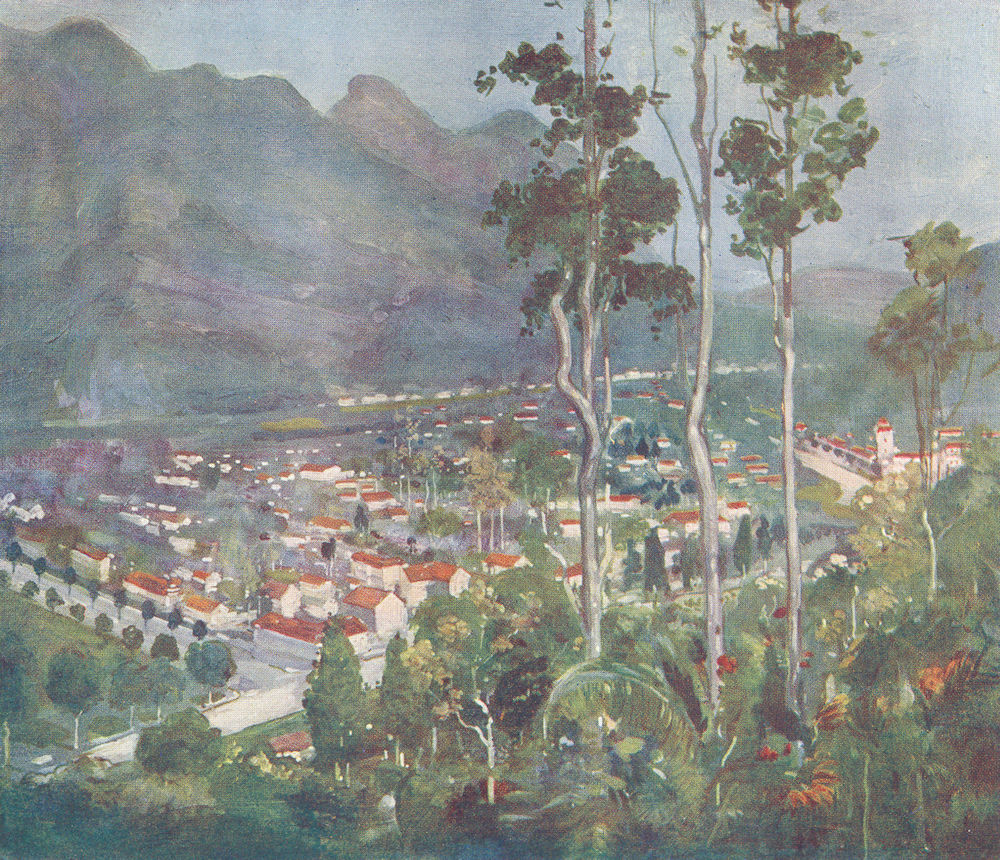 BRAZIL. Friburgo(Freiburg) Organ Mountains 1908 old antique print picture
