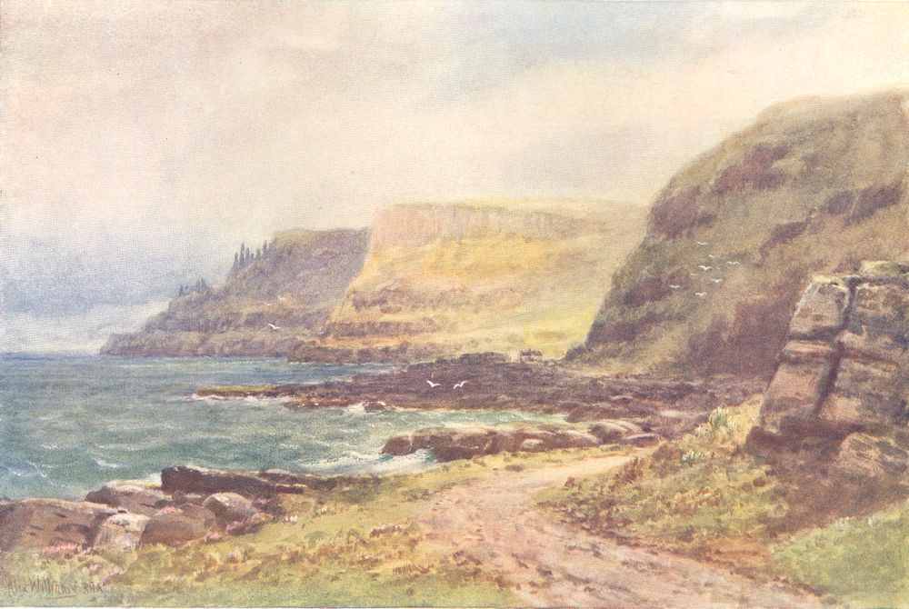 ULSTER. The Giants Causeway 1908 old antique vintage print picture